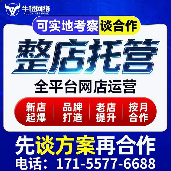 临汾电商代运营