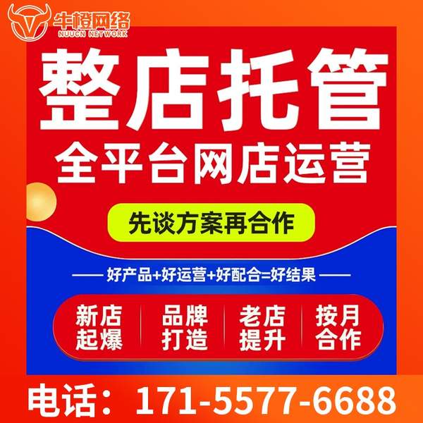 临汾电商代运营