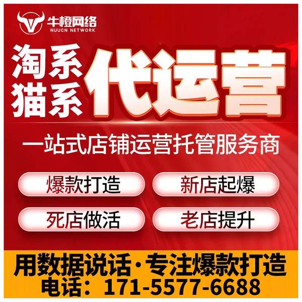 临汾电商代运营